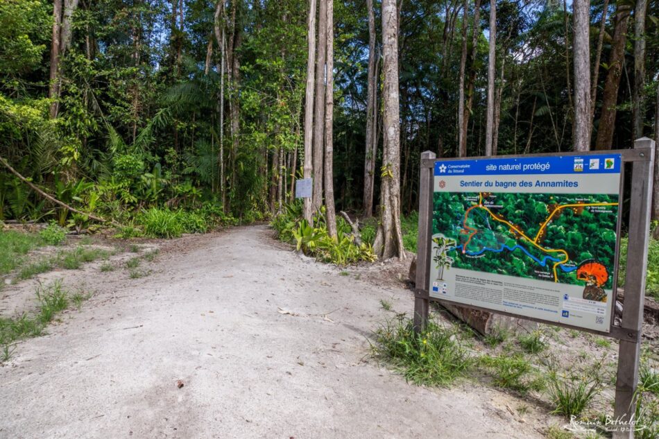 Bagne des Annamites à Montsinéry-Tonnégrande en Guyane