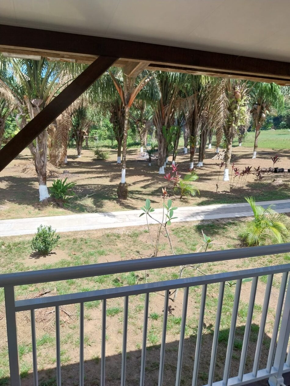 Terrase et vue sur le jardin